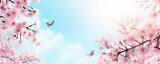 Fototapeta Natura - Spring banner, branches of blossoming cherry against background of blue sky and butterflies on nature outdoors. Pink sakura flowers, dreamy romantic image spring, landscape panorama, Generative AI