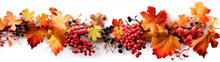 Horizontal Garland With Red, Orange, Brown And Yellow Autumn Leaves On A White Background. 