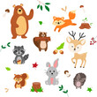 Cute forest animals in cartoon style. Nature forest. Bear, fox, squirrel, hedgehog, hare, raccoon. Vector illustration 