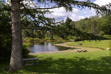 A Pond And Picnic Area At The White Memorial Foundation And Conservation Nature Preserve, Litchfield, Connecticut.