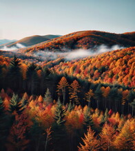 Autumn Landscape In Vermont With Forest And Mountains
