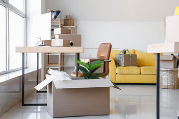 Wall Mural - Interior of office with cardboard boxes on moving day