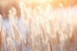 Reed grass in the wind and snow winter nature background