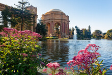 Sunny Exterior View Of The Palace Of Fine Arts