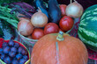 pumpkin, tomatoes, plums and other vegetables and fruits