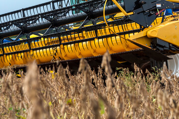 Wall Mural - Mechanized soybean harvest on a farm in Brazil