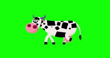 Cartoon Spotty Speckled Black And White Squares Cow Character Walking Greenbox. Seamless Transitions Of Cute Character Animal. Funny Isolated Moves Creature Useful Animation.