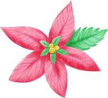 Watercolor Christmas Flower