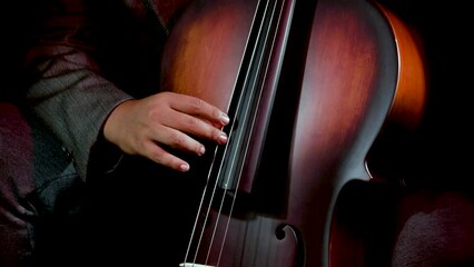 Wall Mural - Musician playing cello