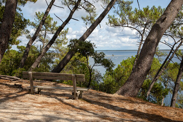 Wall Mural - bench wooden empty on lake Maubuisson atlantic in gironde france