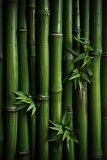 Fototapeta Sypialnia - Green bamboo texture. Oriental grass fence seamless pattern. Wallpaper, background