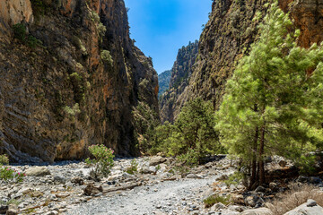 Wall Mural - A dry, rocky river bed at the bottom of a deep gorge in the middle of a dry, hot summer (Samaria Gorge, Crete)