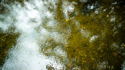 View of the water in a stream with a beautiful rocky bottom in shallow water, Green blur spring background with flood water effect