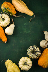 Wall Mural - Decorative pumpkin on green background.