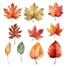 Autumn Leaves Watercolor Set. Created With Generative AI Technology

