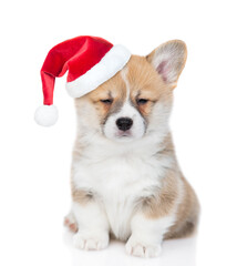 Wall Mural - Pembroke welsh corgi puppy  wearing red  christmas hat  looks at camera. isolated on white background