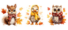 Fall Autumn Animals, Squirrel, Duck, Owl, Watercolor. Generative AI