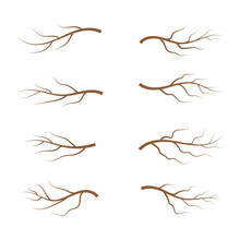 Aesthetic Tree Branch Silhouettes. Leaves, Swirls And Floral Elements Vector Illustration