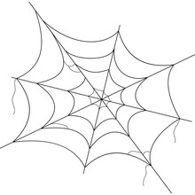 Black Spider Web For Halloween Decoration