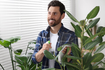 Canvas Print - Man spraying beautiful potted houseplants with water indoors