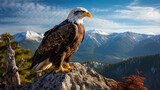 Fototapeta  - Majestic bald eagle perched high atop a rugged mountain peak