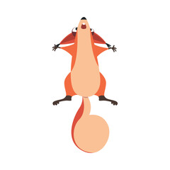 Wall Mural - Cute Squirrel with Bushy Tail Jumping Up Vector Illustration