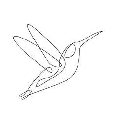 Wall Mural - hummingbird line illustration