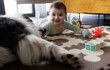 © leszekglasner - Baby playing on floor with toys and dog