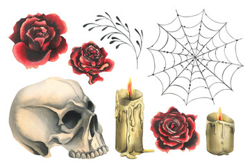 Human skull with red roses, candles and cobwebs. Hand drawn watercolor illustration for Halloween, day of the dead, Dia de los muertos. Set of isolated elements on a white background.