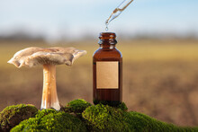 Natural Mushroom Extract Dropper On Moss: Alternative Healing