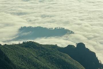 Wall Mural - Sunrise, morning fog and the mountain