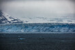 © Tamme Wichmann - Cruise to Hubbard Glacier Bay in Alaska with floating ice bergs and drift ice floes on ocean water surface surrounded by snow cap mountains and wildlife wild nature scenery Last Frontier adventure
