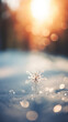 © Marc Andreu - Snowflake in winter sunshine on blur bokeh background. Christmas and New Year concept.