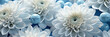 Wunderbare schöne Blumen in zarten türkis und blau als Hintergrundmotiv für Banner im Querformat, ai generativ