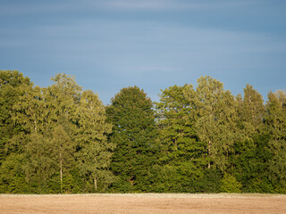 Wall Mural - countryside farm meadow with fresh cut green grass