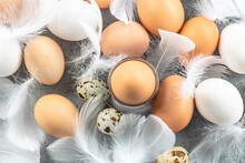 Chicken And Quail Eggs With Feathers On Light Background. Top View