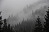 Fototapeta Fototapety do pokoju - Las świerkowy we mgle, mglisty leśny krajobraz, wierzchołki drzew, mgła. Spruce forest in fog, foggy forest landscape, treetops, mist.