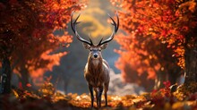 Beautiful Portrait Of A Reindeer Amidst An Idyllic Autumn Scene, Its Confident Stride Accentuated By Fallen Autumn Leaves