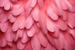 fondo abstracto romantico con plumas rosas