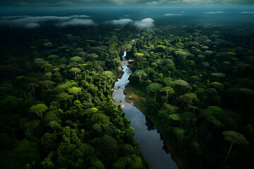 Wall Mural - An Aerial Shot of the Peruvian Amazon