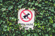 Schild mit der Aufschrift Bitte hier nicht und einem durchgestrichenen Hund - Verbotsschild Hundetoilette umranded mit Efeu an einer Hauswand