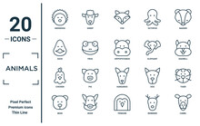 Animals Linear Icon Set. Includes Thin Line Hedgehog, Duck, Chicken, Bear, Camel, Hippopotamus, Tiger Icons For Report, Presentation, Diagram, Web Design