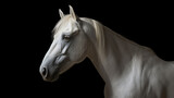 Fototapeta Konie - Close-up head shot of white horse with dark background generative ai