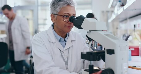 Wall Mural - Senior woman, scientist and microscope in forensic, analysis or data in new discovery or research. Mature female person, medical or healthcare professional looking at scope in science laboratory