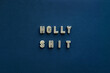© TrueFrame Collective - Conceptual photo of lettering ‘Holly shit’ made up of alphabet pasta against dark blue background, close-up view