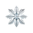 © Pajaros Volando - Real snowflake iced on white transparent background