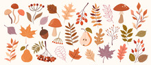 Autumn Decorative Vector Set Of Plants