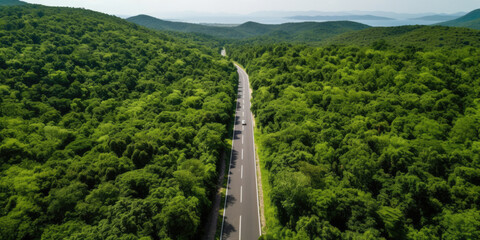 Wall Mural - Aerial view road in the middle forest, Top view road going through green forest adventure, Ecosystem ecology healthy environment road trip travel.