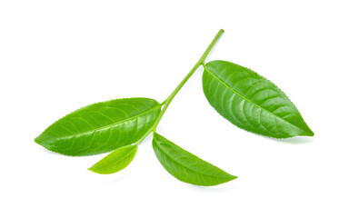 Wall Mural - Green tea leaf isolated on white background