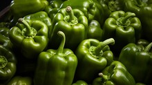 LOTS OF RIPE GREEN PEPPERS. FRESH GREEN VEGETABLES FOR HEALTHY EATING AND WELLBEING.